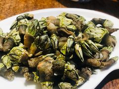 鸡爪螺（佛爪螺）-四季美蚝皇