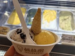 -极拉图·现制冰淇淋(大卫城店)