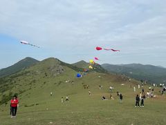 -大姆山草场