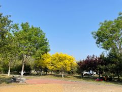 -门城湖公园