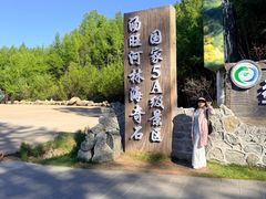 -汤旺河林海奇石景区