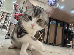 -长沙纹身·龙堂刺青·三土师傅的店