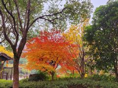 -穹窿山景区