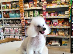 -我爱吾宠宠物美容院(朝阳路店)