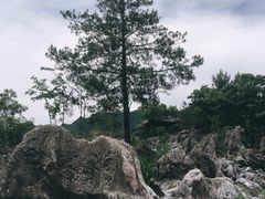 -千岛湖石林