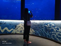 -沈阳海洋探索中心