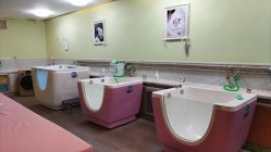 -生命加•Q考拉月子会所(玫瑰园店)