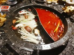 鸳鸯锅-蜀大侠火锅(车公庙店)