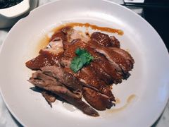 -MR鹅外