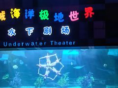 -泉城欧乐堡海洋极地世界