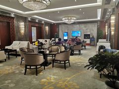 -郑州新郑国际机场T2航站楼-贵宾厅B区