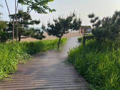 -北戴河东海水浴场