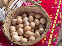 -马陆小张葡萄园农家乐