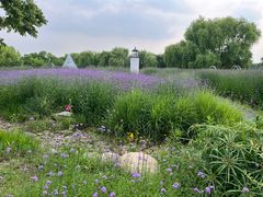 -梁鸿国家湿地公园