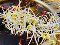 -渝味黄姐火锅(黄泥村店)
