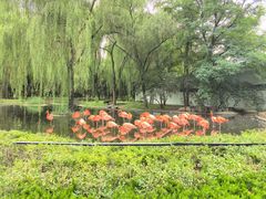 -石家庄市动物园