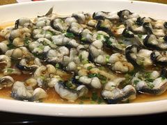 -呼吸森林·生态农庄农家乐私房菜