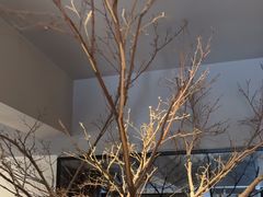 -黄山老妈·土菜(碧桂园店)
