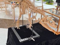 -上海七宝领展广场