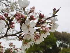 -苏州上方山国家森林公园