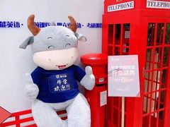 -牛学教育雅思托福PTE·小语种培训(小寨校区)