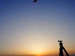 -空港花田景区