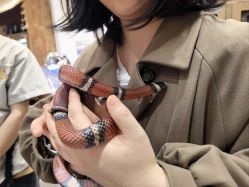 -Zoolung Zoolung动物主题公园(海信广场店)