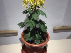 -汇龙潭