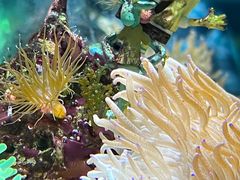 -太平洋海底世界