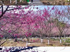 -福清灵石山国家森林公园