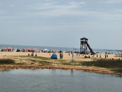-日照海滨国家森林公园