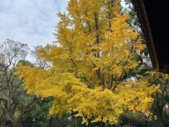 -汇龙潭