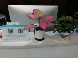 -痘院长·祛痘·皮肤管理