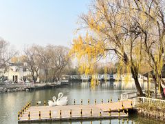 -J Create城市露营咖啡·简餐·宠物(上海动物园店)