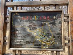 -高尔山公园
