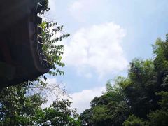 -莫干山风景区