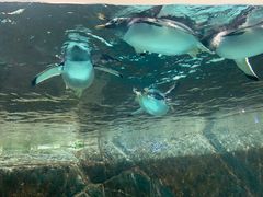 -成都浩海立方海洋公园