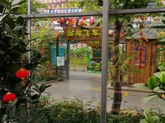 -南宫五洲植物乐园