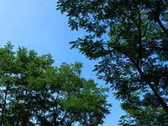 -重庆彩云湖湿地公园