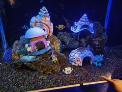 -海合安武汉极地海洋公园