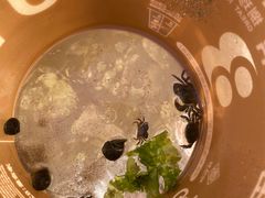 -那香海钻石沙滩浴场