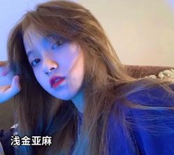 -崇尚GAVIN STYLE