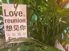 -春莱·泰式奶茶·老挝冰咖啡(湾里庙店)