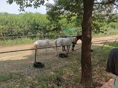 -扬州天乐湖嬉乐谷
