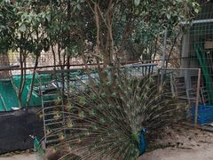 -不觉晓CAMPING(上海迪士尼营地店)