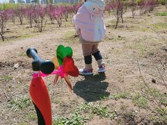 -丁香湖公园