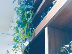 -榖屋house of flour(张江首店)