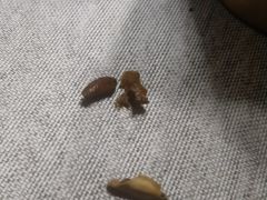 -兔途体检(十里堡青年路店)