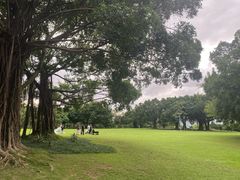 -南宁南湖公园