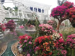 -莲花山公园